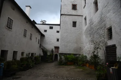 DSC_6378 (Large).JPG